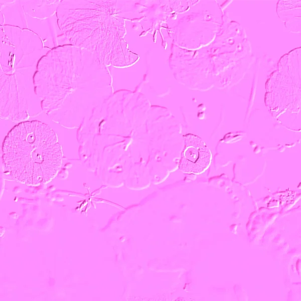 Seramik duvarın ve yerdeki fayansların dokusu. İç dekorasyon. 3 boyutlu grafikler için kusursuz doku haritası. Duvar kağıdı, tekstil, web sayfası arkaplanı.