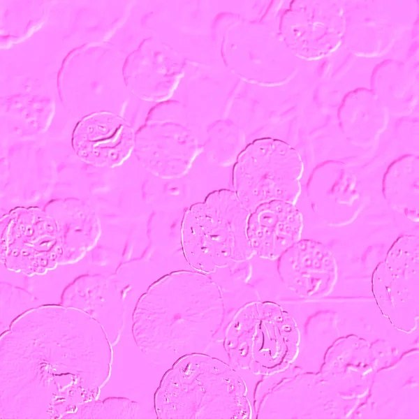 Seramik duvarın ve yerdeki fayansların dokusu. İç dekorasyon. 3 boyutlu grafikler için kusursuz doku haritası. Duvar kağıdı, tekstil, web sayfası arkaplanı.