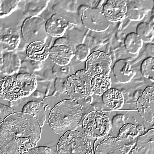 Seramik duvarın ve yerdeki fayansların dokusu. İç dekorasyon. 3 boyutlu grafikler için kusursuz doku haritası. Duvar kağıdı, tekstil, web sayfası arkaplanı.