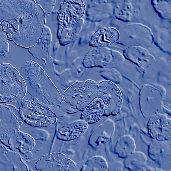 Seramik duvarın ve yerdeki fayansların dokusu. İç dekorasyon. 3 boyutlu grafikler için kusursuz doku haritası. Duvar kağıdı, tekstil, web sayfası arkaplanı.