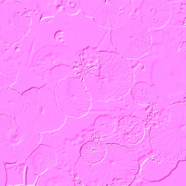 Seramik duvarın ve yerdeki fayansların dokusu. İç dekorasyon. 3 boyutlu grafikler için kusursuz doku haritası. Duvar kağıdı, tekstil, web sayfası arkaplanı.