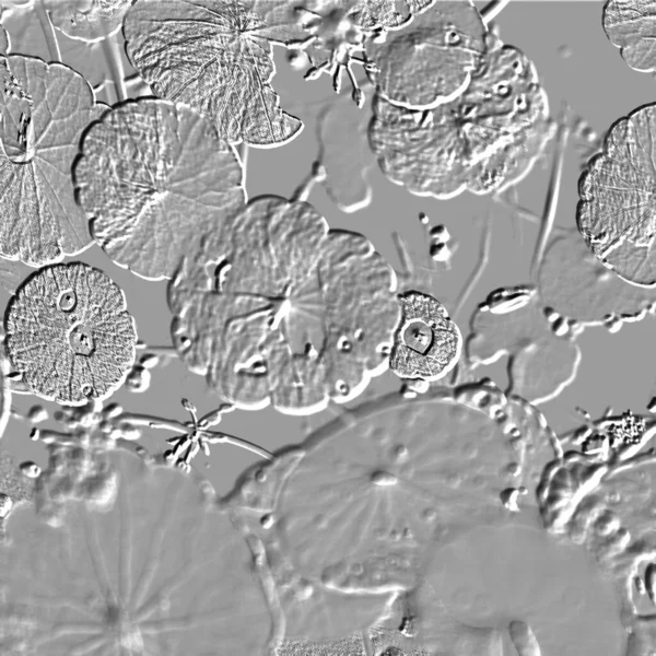 Seramik duvarın ve yerdeki fayansların dokusu. İç dekorasyon. 3 boyutlu grafikler için kusursuz doku haritası. Duvar kağıdı, tekstil, web sayfası arkaplanı.