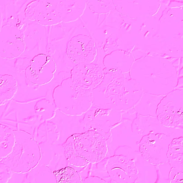 Seramik duvarın ve yerdeki fayansların dokusu. İç dekorasyon. 3 boyutlu grafikler için kusursuz doku haritası. Duvar kağıdı, tekstil, web sayfası arkaplanı.