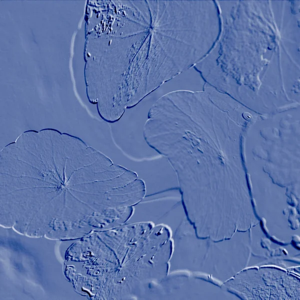 Seramik duvarın ve yerdeki fayansların dokusu. İç dekorasyon. 3 boyutlu grafikler için kusursuz doku haritası. Duvar kağıdı, tekstil, web sayfası arkaplanı.