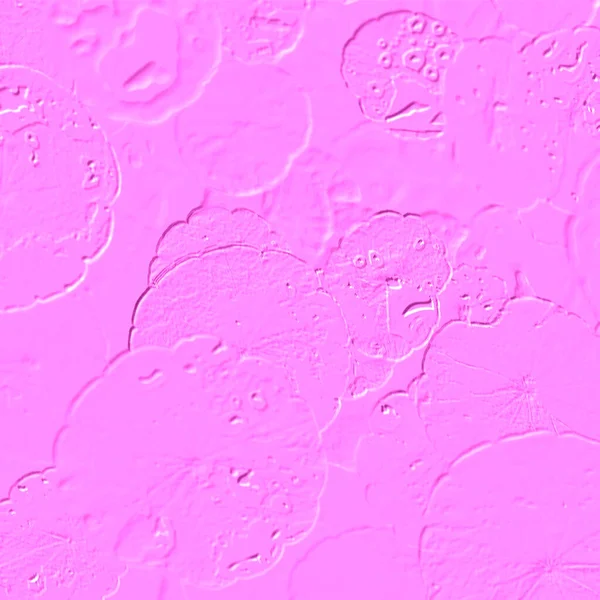 Seramik duvarın ve yerdeki fayansların dokusu. İç dekorasyon. 3 boyutlu grafikler için kusursuz doku haritası. Duvar kağıdı, tekstil, web sayfası arkaplanı.