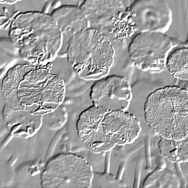 Seramik duvarın ve yerdeki fayansların dokusu. İç dekorasyon. 3 boyutlu grafikler için kusursuz doku haritası. Duvar kağıdı, tekstil, web sayfası arkaplanı.