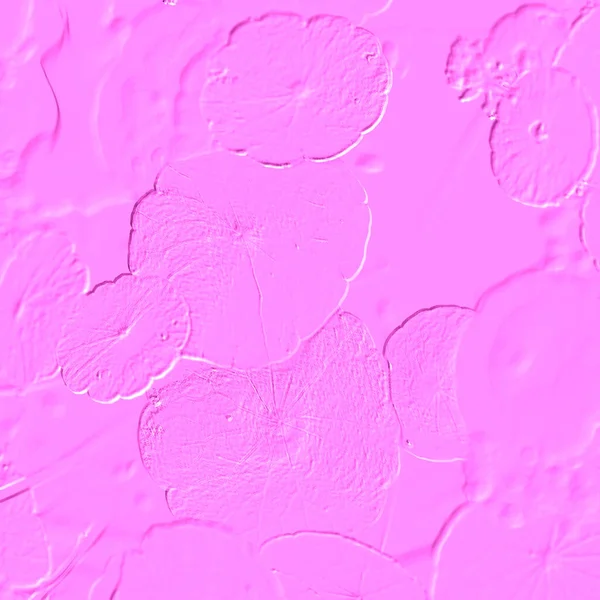 Seramik duvarın ve yerdeki fayansların dokusu. İç dekorasyon. 3 boyutlu grafikler için kusursuz doku haritası. Duvar kağıdı, tekstil, web sayfası arkaplanı.