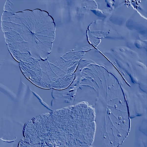 Seramik duvarın ve yerdeki fayansların dokusu. İç dekorasyon. 3 boyutlu grafikler için kusursuz doku haritası. Duvar kağıdı, tekstil, web sayfası arkaplanı.