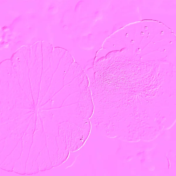 Seramik duvarın ve yerdeki fayansların dokusu. İç dekorasyon. 3 boyutlu grafikler için kusursuz doku haritası. Duvar kağıdı, tekstil, web sayfası arkaplanı.