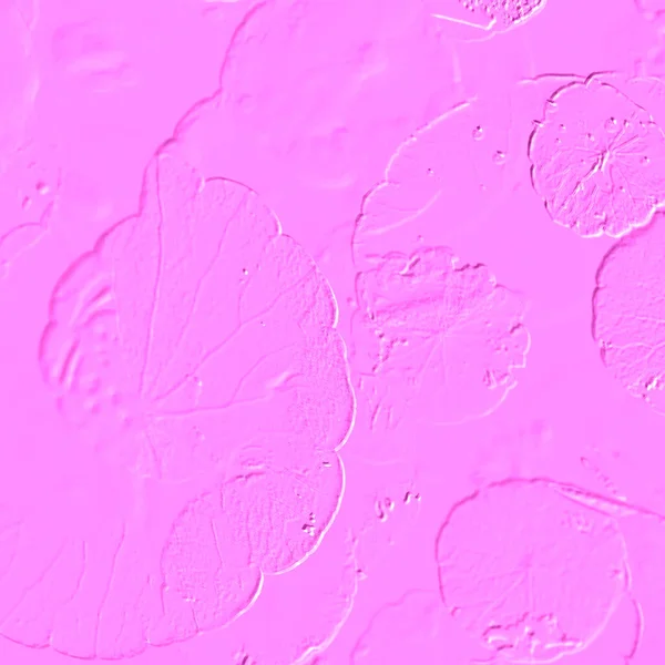 Seramik duvarın ve yerdeki fayansların dokusu. İç dekorasyon. 3 boyutlu grafikler için kusursuz doku haritası. Duvar kağıdı, tekstil, web sayfası arkaplanı.