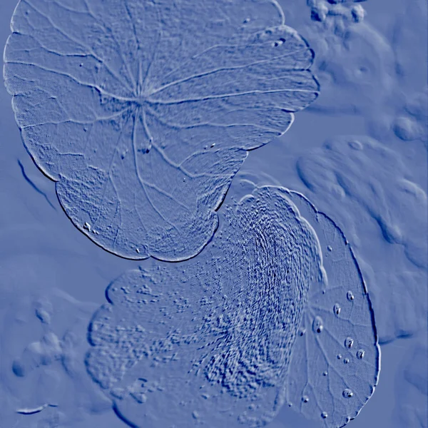 Seramik duvarın ve yerdeki fayansların dokusu. İç dekorasyon. 3 boyutlu grafikler için kusursuz doku haritası. Duvar kağıdı, tekstil, web sayfası arkaplanı.