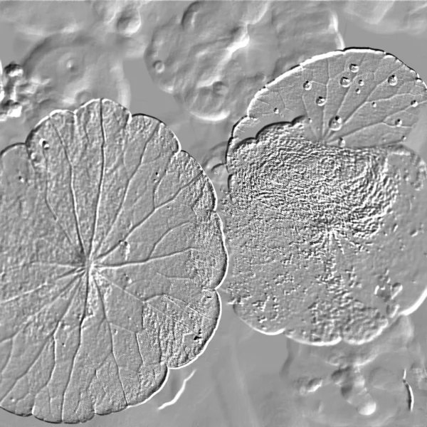 Seramik duvarın ve yerdeki fayansların dokusu. İç dekorasyon. 3 boyutlu grafikler için kusursuz doku haritası. Duvar kağıdı, tekstil, web sayfası arkaplanı.