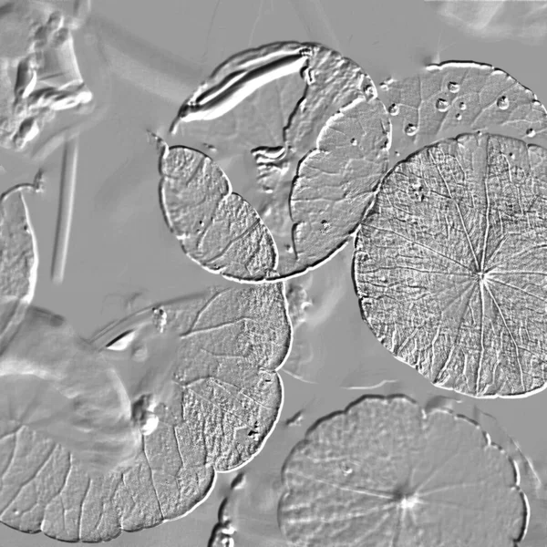 Seramik duvarın ve yerdeki fayansların dokusu. İç dekorasyon. 3 boyutlu grafikler için kusursuz doku haritası. Duvar kağıdı, tekstil, web sayfası arkaplanı.