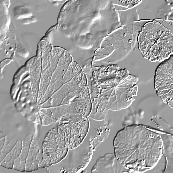 Seramik duvarın ve yerdeki fayansların dokusu. İç dekorasyon. 3 boyutlu grafikler için kusursuz doku haritası. Duvar kağıdı, tekstil, web sayfası arkaplanı.