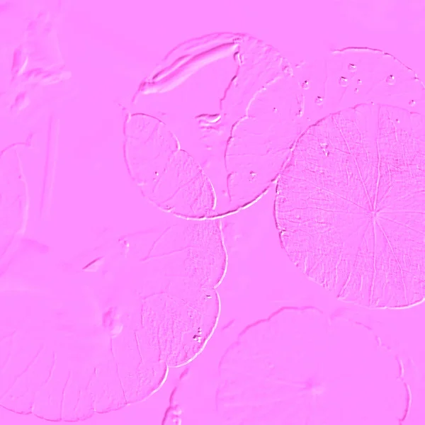 Seramik duvarın ve yerdeki fayansların dokusu. İç dekorasyon. 3 boyutlu grafikler için kusursuz doku haritası. Duvar kağıdı, tekstil, web sayfası arkaplanı.