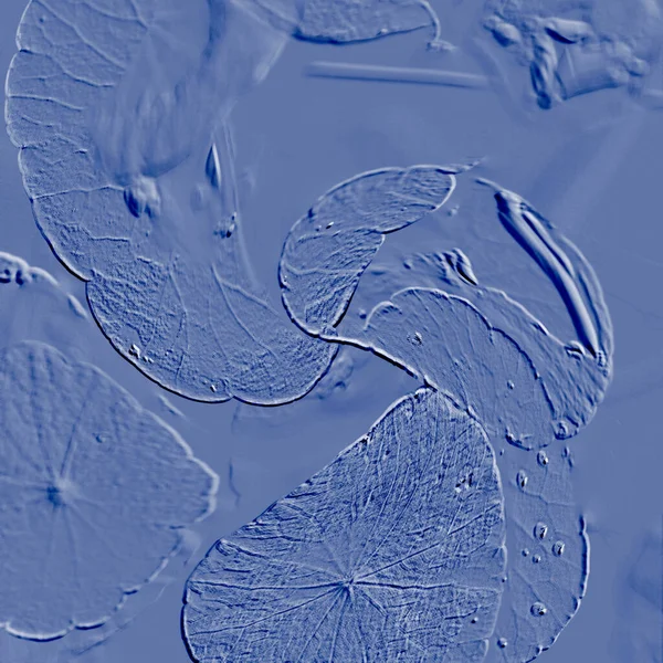 Seramik duvarın ve yerdeki fayansların dokusu. İç dekorasyon. 3 boyutlu grafikler için kusursuz doku haritası. Duvar kağıdı, tekstil, web sayfası arkaplanı.