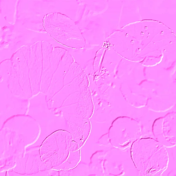 Seramik duvarın ve yerdeki fayansların dokusu. İç dekorasyon. 3 boyutlu grafikler için kusursuz doku haritası. Duvar kağıdı, tekstil, web sayfası arkaplanı.