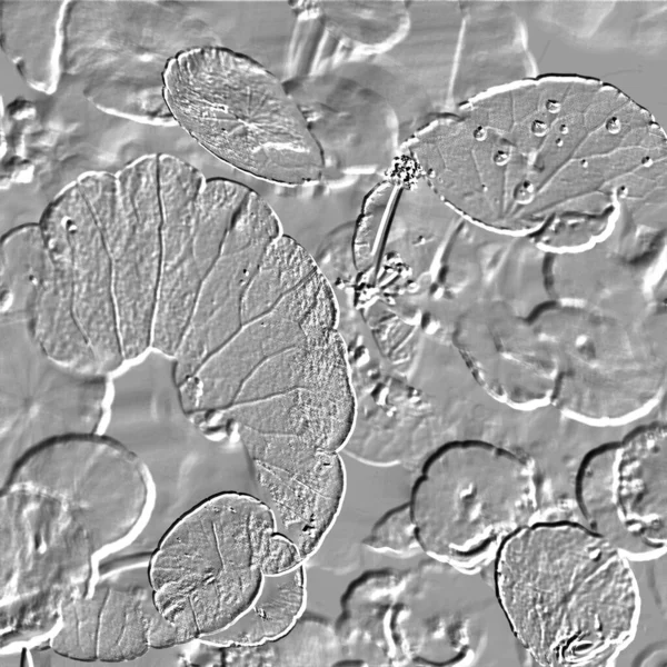 Seramik duvarın ve yerdeki fayansların dokusu. İç dekorasyon. 3 boyutlu grafikler için kusursuz doku haritası. Duvar kağıdı, tekstil, web sayfası arkaplanı.