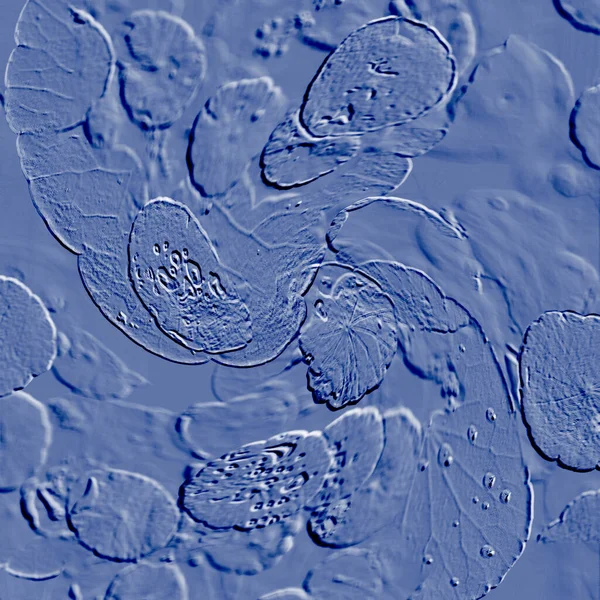 Seramik duvarın ve yerdeki fayansların dokusu. İç dekorasyon. 3 boyutlu grafikler için kusursuz doku haritası. Duvar kağıdı, tekstil, web sayfası arkaplanı.