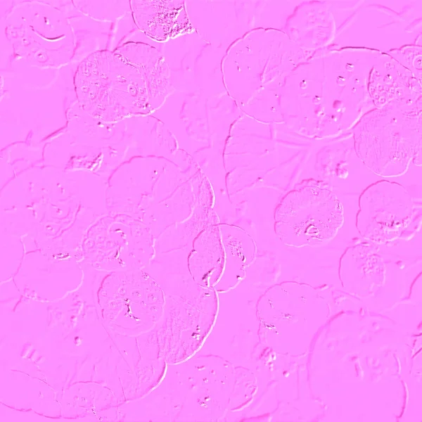 Seramik duvarın ve yerdeki fayansların dokusu. İç dekorasyon. 3 boyutlu grafikler için kusursuz doku haritası. Duvar kağıdı, tekstil, web sayfası arkaplanı.