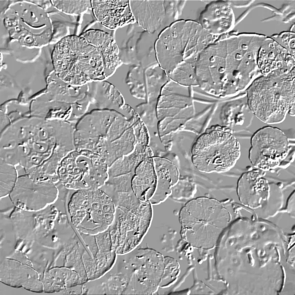 Seramik duvarın ve yerdeki fayansların dokusu. İç dekorasyon. 3 boyutlu grafikler için kusursuz doku haritası. Duvar kağıdı, tekstil, web sayfası arkaplanı.