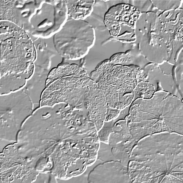 Seramik duvarın ve yerdeki fayansların dokusu. İç dekorasyon. 3 boyutlu grafikler için kusursuz doku haritası. Duvar kağıdı, tekstil, web sayfası arkaplanı.