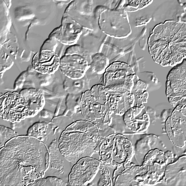 Seramik duvarın ve yerdeki fayansların dokusu. İç dekorasyon. 3 boyutlu grafikler için kusursuz doku haritası. Duvar kağıdı, tekstil, web sayfası arkaplanı.