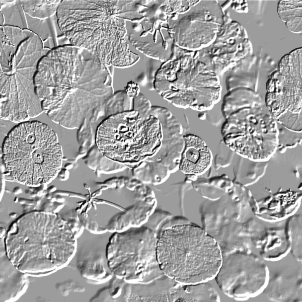 Seramik duvarın ve yerdeki fayansların dokusu. İç dekorasyon. 3 boyutlu grafikler için kusursuz doku haritası. Duvar kağıdı, tekstil, web sayfası arkaplanı.