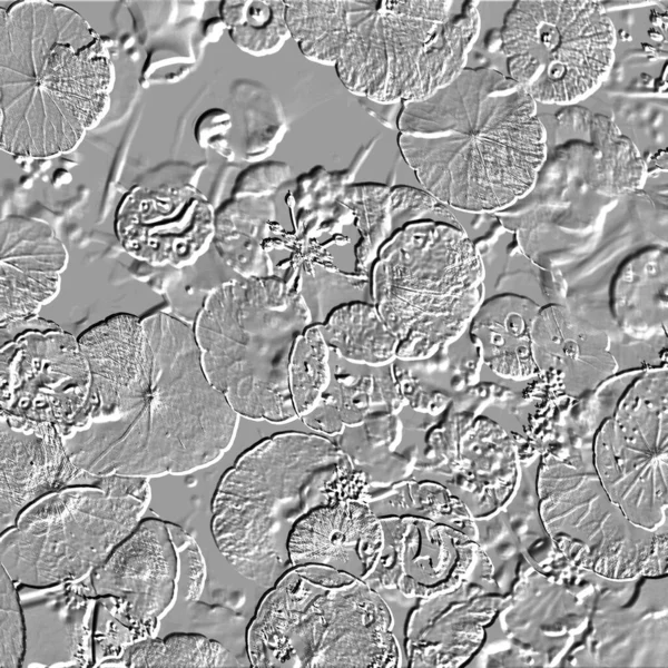 Seramik duvarın ve yerdeki fayansların dokusu. İç dekorasyon. 3 boyutlu grafikler için kusursuz doku haritası. Duvar kağıdı, tekstil, web sayfası arkaplanı.