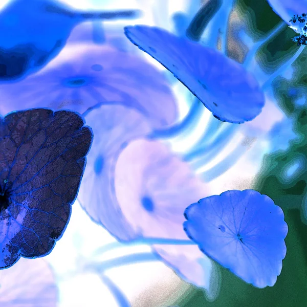 Nergisler. Yeşil bitkiler. Parlak doğal bir geçmişi, su bitkileri. Arkaplan veya duvar kağıdı için.