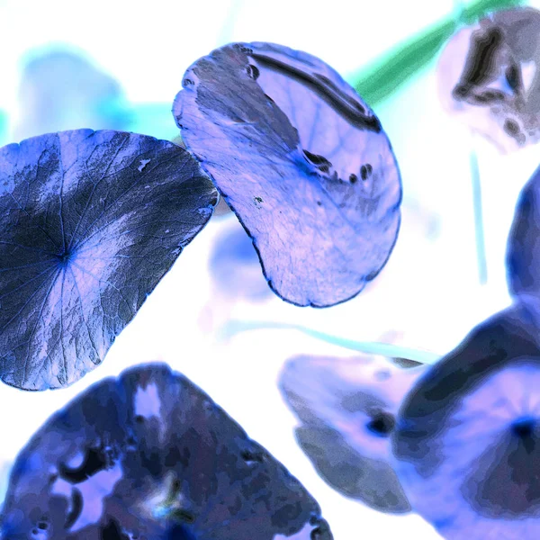 Nergisler. Yeşil bitkiler. Parlak doğal bir geçmişi, su bitkileri. Arkaplan veya duvar kağıdı için.