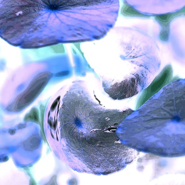 Nergisler. Yeşil bitkiler. Parlak doğal bir geçmişi, su bitkileri. Arkaplan veya duvar kağıdı için.