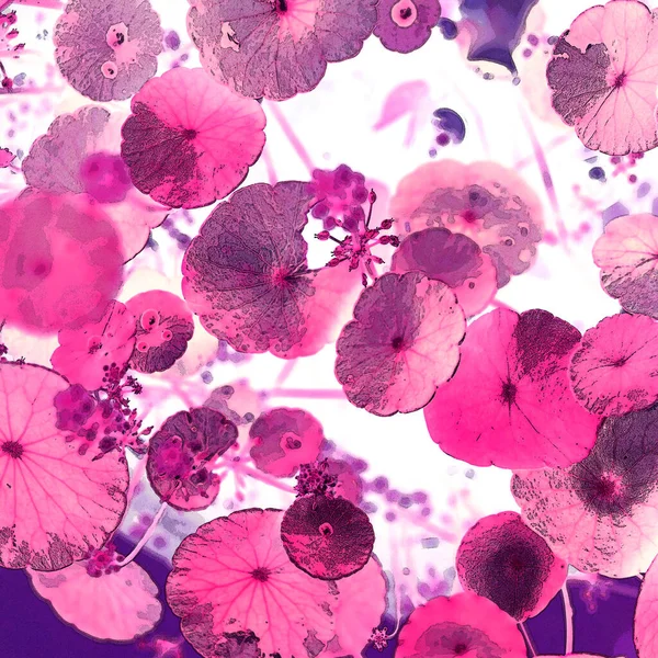 Nergisler. Yeşil bitkiler. Parlak doğal bir geçmişi, su bitkileri. Arkaplan veya duvar kağıdı için.