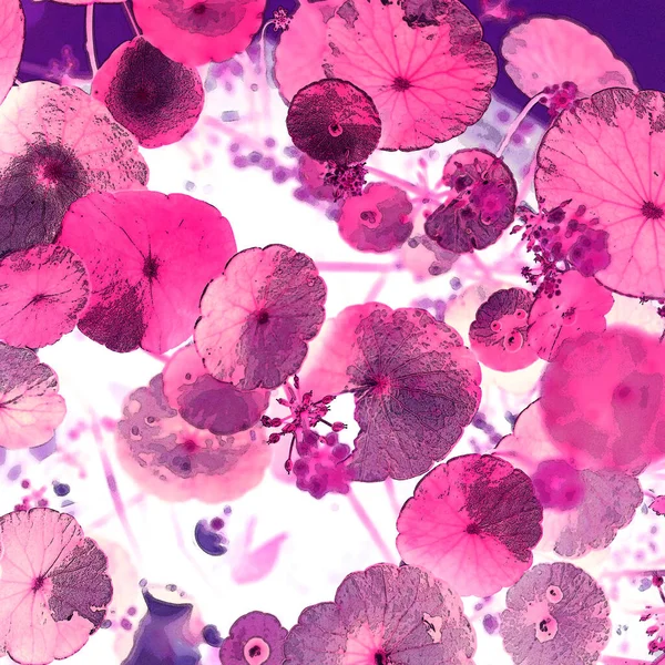 Nergisler. Yeşil bitkiler. Parlak doğal bir geçmişi, su bitkileri. Arkaplan veya duvar kağıdı için.