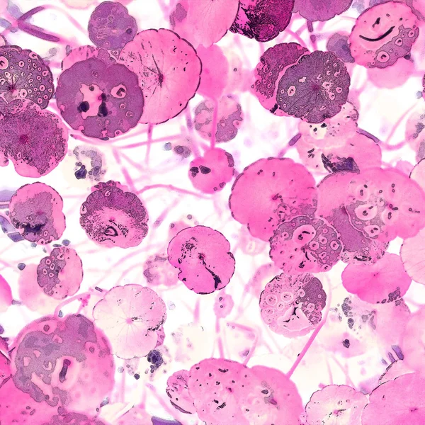 Nergisler. Yeşil bitkiler. Parlak doğal bir geçmişi, su bitkileri. Arkaplan veya duvar kağıdı için.