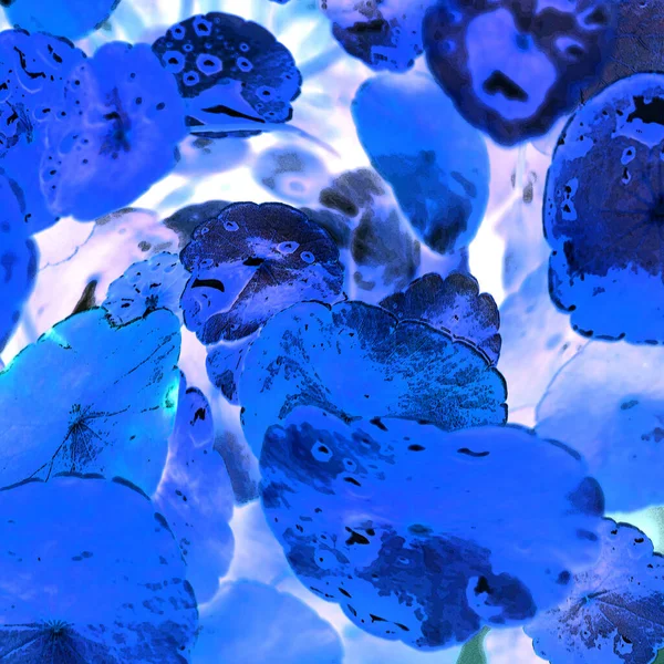 Nergisler. Yeşil bitkiler. Parlak doğal bir geçmişi, su bitkileri. Arkaplan veya duvar kağıdı için.