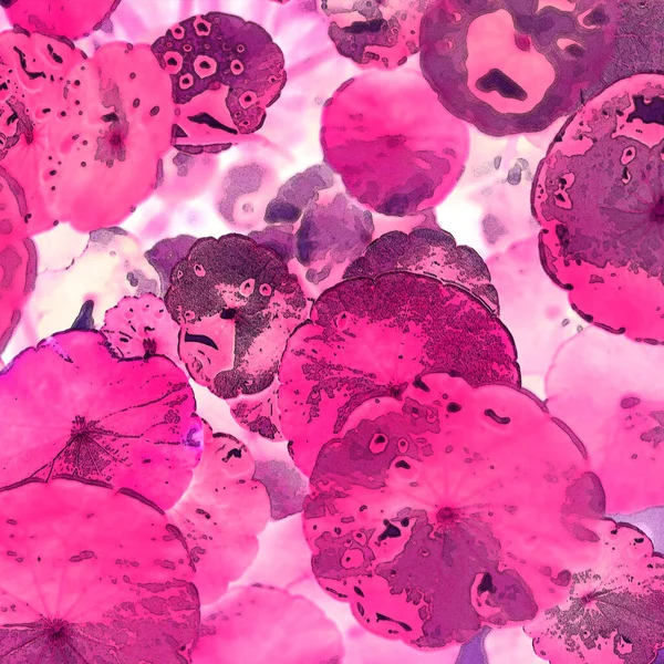 Nergisler. Yeşil bitkiler. Parlak doğal bir geçmişi, su bitkileri. Arkaplan veya duvar kağıdı için.