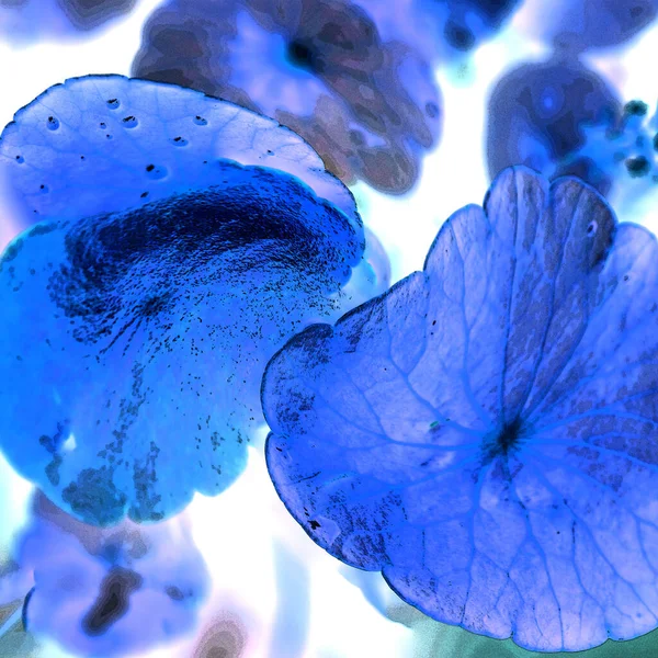 Nergisler. Yeşil bitkiler. Parlak doğal bir geçmişi, su bitkileri. Arkaplan veya duvar kağıdı için.