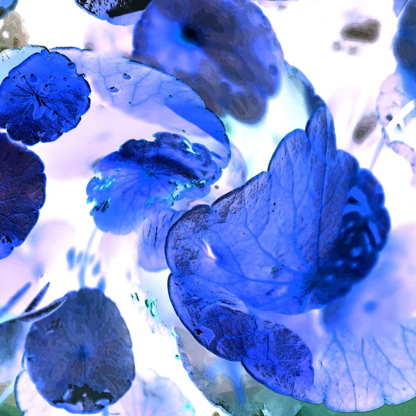 Nergisler. Yeşil bitkiler. Parlak doğal bir geçmişi, su bitkileri. Arkaplan veya duvar kağıdı için.