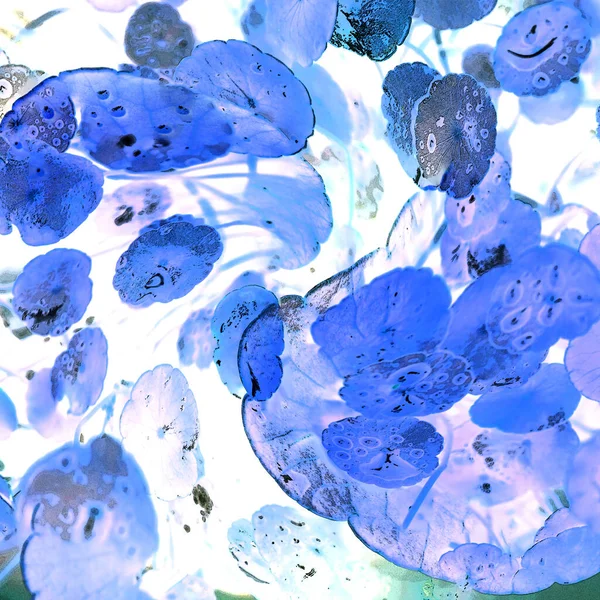 Nergisler. Yeşil bitkiler. Parlak doğal bir geçmişi, su bitkileri. Arkaplan veya duvar kağıdı için.