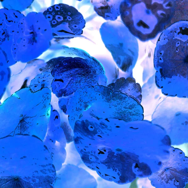 Nergisler. Yeşil bitkiler. Parlak doğal bir geçmişi, su bitkileri. Arkaplan veya duvar kağıdı için.