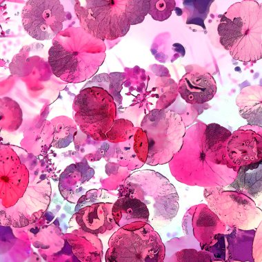 Nergisler. Yeşil bitkiler. Parlak doğal bir geçmişi, su bitkileri. Arkaplan veya duvar kağıdı için.