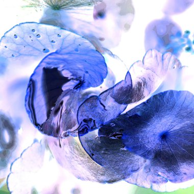 Nergisler. Yeşil bitkiler. Parlak doğal bir geçmişi, su bitkileri. Arkaplan veya duvar kağıdı için.