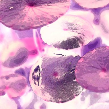 Yeşil çember ayrılıyor. Su bitkileri. Parlak, doğal, taze bir geçmiş. Yeşillik. Arkaplan veya duvar kağıdı için.