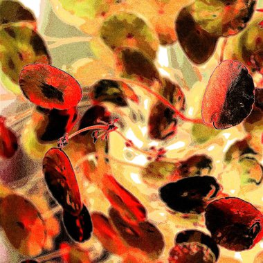 Yeşil çember ayrılıyor. Su bitkileri. Parlak, doğal, taze bir geçmiş. Yeşillik. Arkaplan veya duvar kağıdı için.