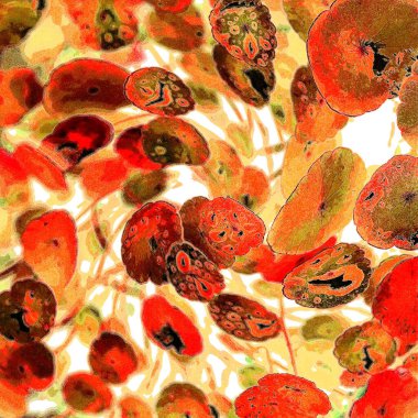 Yeşil çember ayrılıyor. Su bitkileri. Parlak, doğal, taze bir geçmiş. Yeşillik. Arkaplan veya duvar kağıdı için.