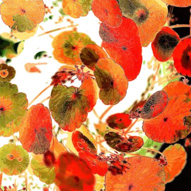 Yeşil çember ayrılıyor. Su bitkileri. Parlak, doğal, taze bir geçmiş. Yeşillik. Arkaplan veya duvar kağıdı için.