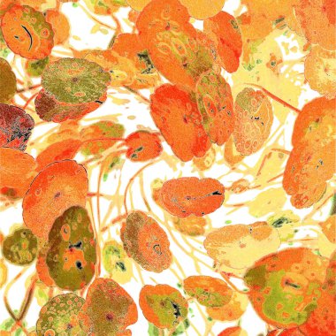 Yeşil çember ayrılıyor. Su bitkileri. Parlak, doğal, taze bir geçmiş. Yeşillik. Arkaplan veya duvar kağıdı için.