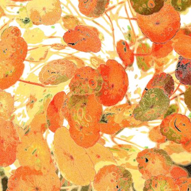 Yeşil çember ayrılıyor. Su bitkileri. Parlak, doğal, taze bir geçmiş. Yeşillik. Arkaplan veya duvar kağıdı için.