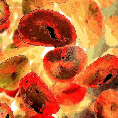 Yeşil çember ayrılıyor. Su bitkileri. Parlak, doğal, taze bir geçmiş. Yeşillik. Arkaplan veya duvar kağıdı için.